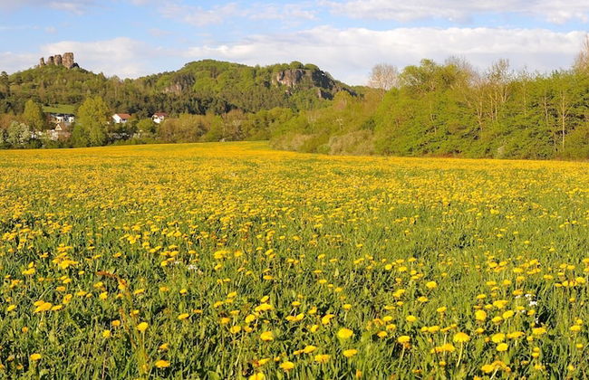 Chalet in Gerolstein Forest Holiday Park - Foto 36