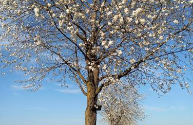 Wie Zuhause! Wohnung mit Garten - Foto 22