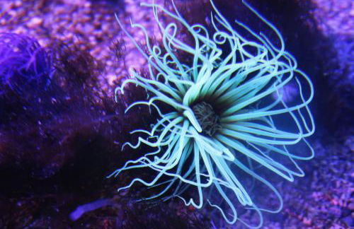 Bright comfy home, sea views and big skies - Foto 19