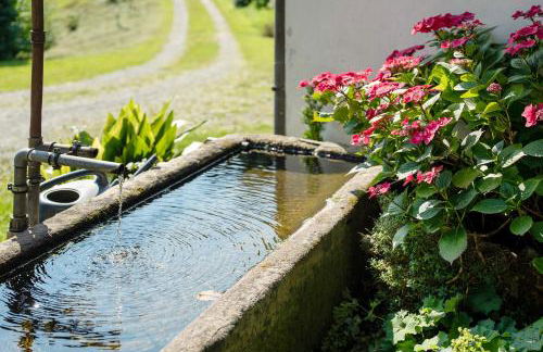 Schwarzwald Buchenhof - Foto 9