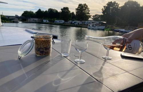 L'Amazone - bateau à quai sur le canal de bourgogne - Foto 19