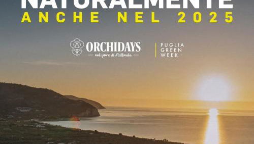 Casa Vacanze Rinaldi - Foto 3