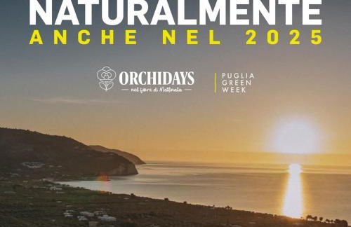 Casa Vacanze Rinaldi - Foto 3