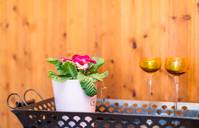 1 bedroom Apartment in Schönecken with garden and terrace - Photo 8