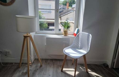 Appartement centre d'Orléans en bord de Loire - Foto 21