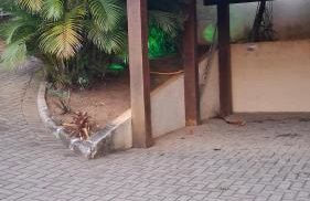 Casa Lila - Casa com Espetacular View - Foto 31