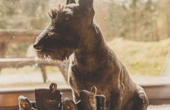 Our Log House in the woods - Photo 18