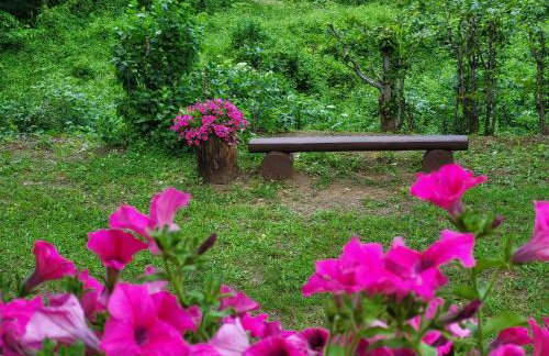 Mountain Pearl Velebit - Foto 63