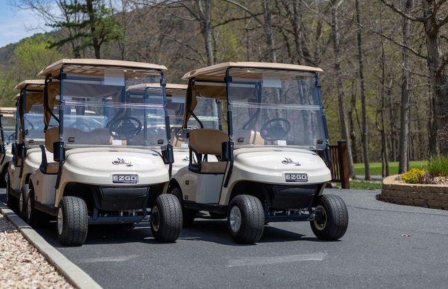 Massanutten's Woodstone Meadows by Tripforth - Foto 77