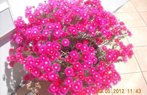 Come a casa - Foto 60