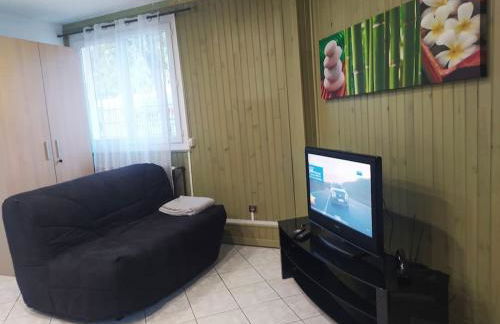 Studio Cosy au Calme, RER-2arrêts Stade-25minParis - Foto 5