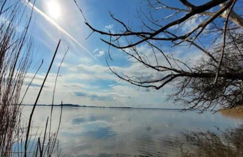 Wohnung in Lütow nahe Ostseestrand - Foto 17