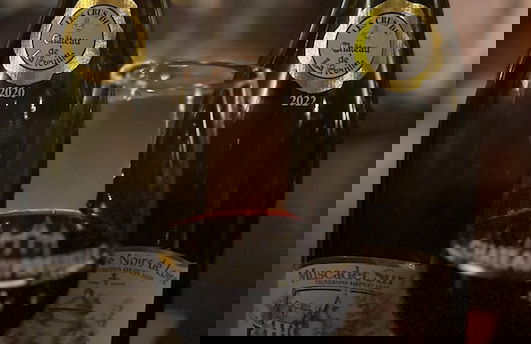 Château de la Preuille - Foto 11