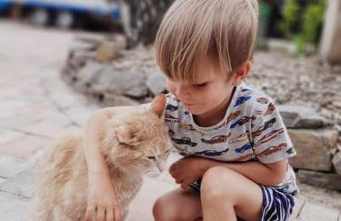 Tinyhouse Zirkuswagen- Kotten Kunterbunt - Foto 16