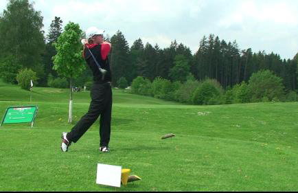 Ferienhaus-Hotel "Zur Grünen Oase" - Foto 29