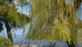 Agriturismo Il Regio Tratturo - Foto 4, Garden