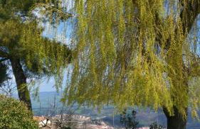 Agriturismo Il Regio Tratturo - Foto 4