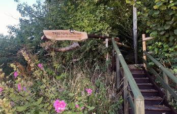 Tree-Tops Treehouse Eco Retreat - Photo 31