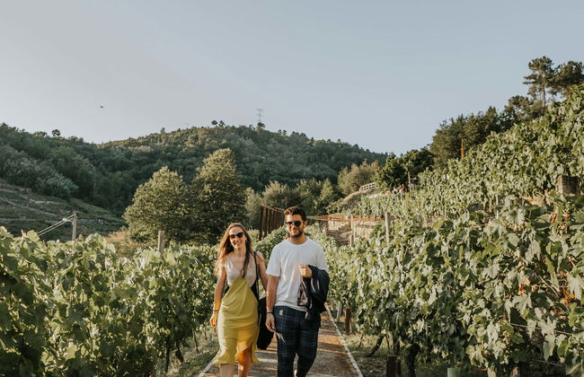 Visita a la bodega Pazo de Toubes - Foto 1