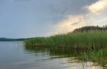 Zielna Farma - Foto 46