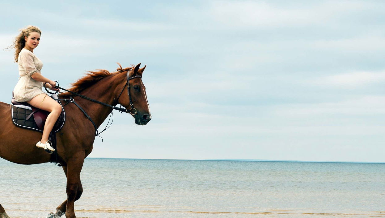 Balade à cheval sur la plage de Wariruri