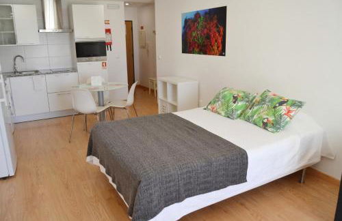 Cerca da Vitoria 3 Milfontes - Photo 47