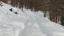 A casa di Olly - Foto 2