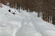 A casa di Olly - Foto 2