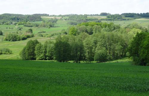 Jeleńczówka Alte Dorfschule - Foto 44