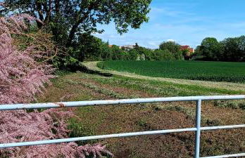 Fewo am grossen Bruch 2 - Foto 14