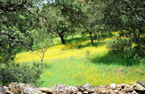 El Alojamiento Rural de Peter - Foto 44