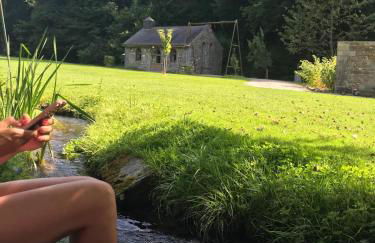 La Chapelle dans le bois - Foto 15