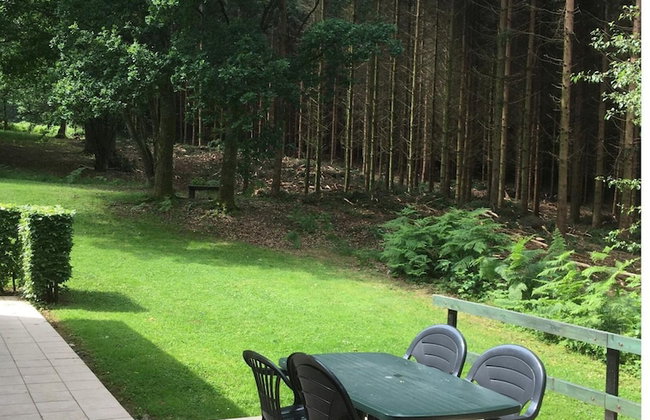 Cozy Chalet in Trois Ponts near Forest - Photo 20