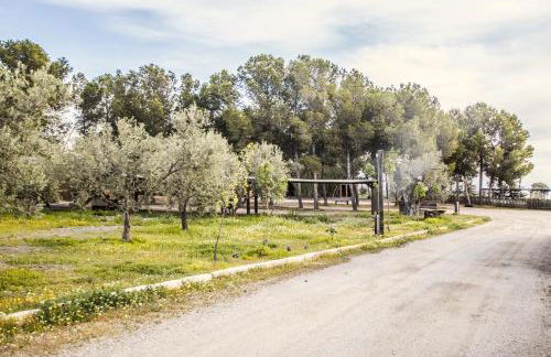 Alojamientos Rurales los Albardinales - Foto 6