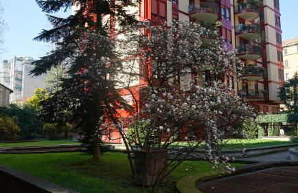 Danae Home - Foto 12