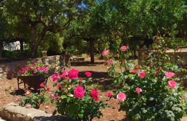 Mouses Apartments-Kardamyli - Foto 9