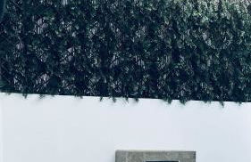 El soberano - Foto 60