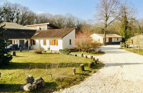 Gite Ecuries Vineuil Jump - Foto 24