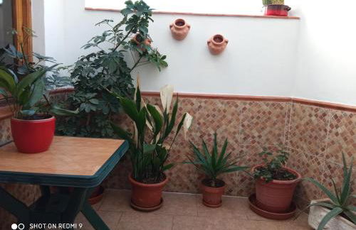 Apartamentos Virgen de Villaverde - Foto 60