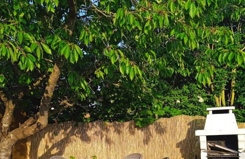 La Salamandre - Photo 8