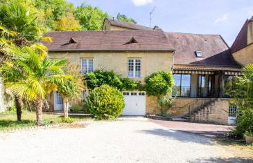 Les palmiers - Foto 1