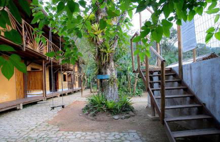 Cambuca Surf Skate - Foto 15