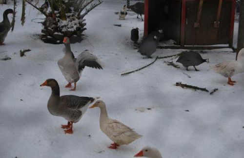 Agriturismo Torre Cristina - Foto 39