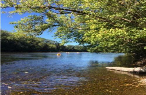 Appealing Apartment in Vezac With Swimming Pool - Foto 130