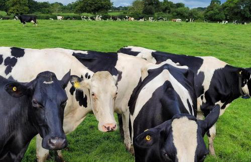 Fir Tree Farm by Wigwam Holidays - Photo 5