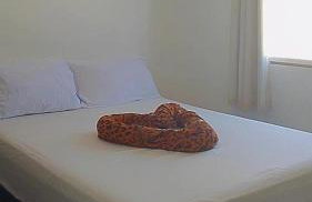 Apartamento 2 quartos condomínio com piscina - Foto 11