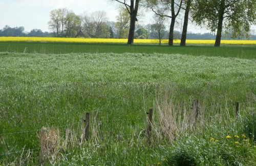 Ferienwohnung Nordlicht - Foto 18