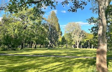 City Altstadt Appartement in unmittelbarer Nähe zu Saale und Marktplatz mit privatem Parkplatz - Foto 20