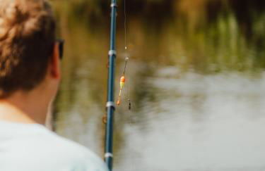 Natursee-Chalet,Spa mit Hot Tub,Jacuzzi,Sauna,Ponyhof,angeln - Photo 32