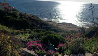 Sardegna casa vacanze La bouganville - Photo 2